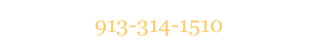 913-314-1510